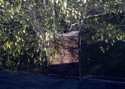 Tree covering chimney.