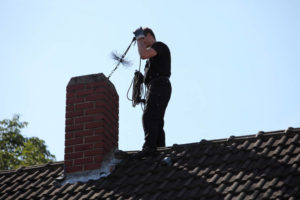 sweep inspecting chimney