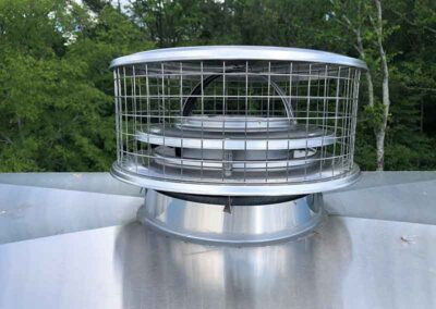 Stainless steel chimney cap with cage to keep out intruders - Woods in background.