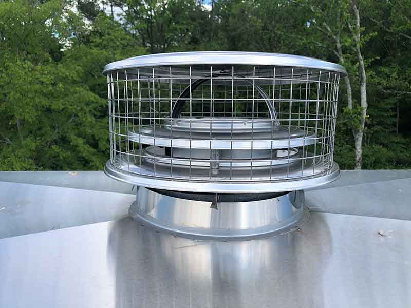 Stainless steel chimney cap with cage to keep out intruders - Woods in background.