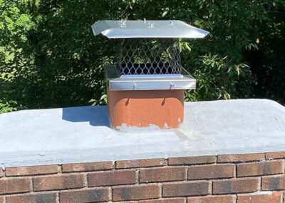 Stainless steel chimney cap with trees in the background.