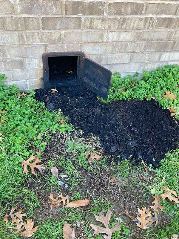 Creosote Removal - Creosote laying in the yard outside a small door.