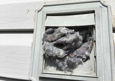 Lint falling out of the vent from the outside.
