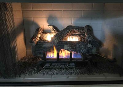 Gas Logs with flame and screen